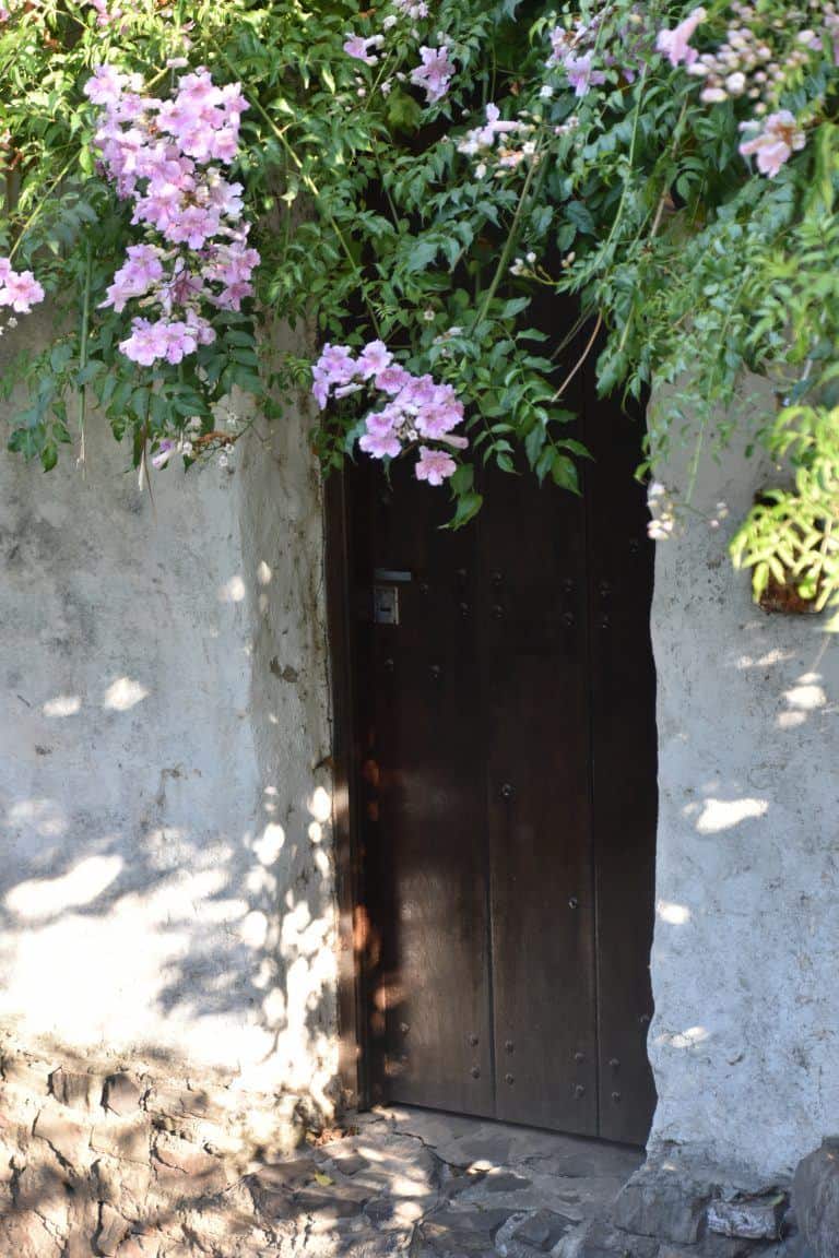 Colonia del Sacramento – old door with flowers, Mar.2018 (Colonia del Sacramento)