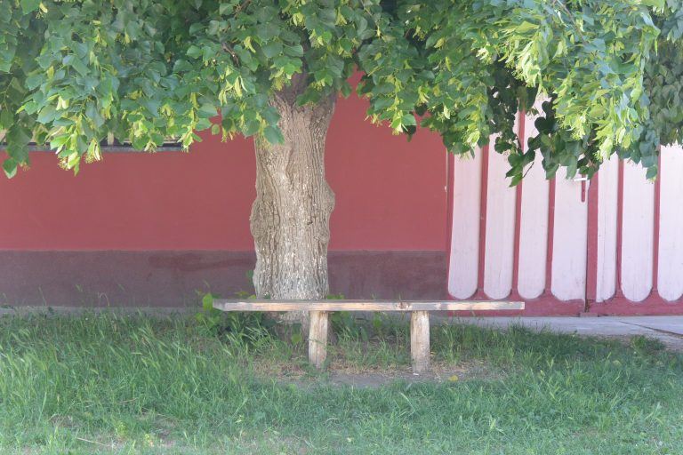 Sremski Karlovci (29) (Sremski Karlovci)