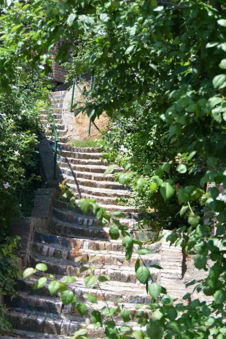 Zemun (23) (Belgrado)