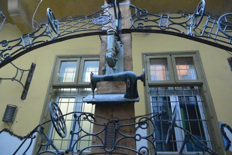 Novi Sad (24) (Novi Sad)