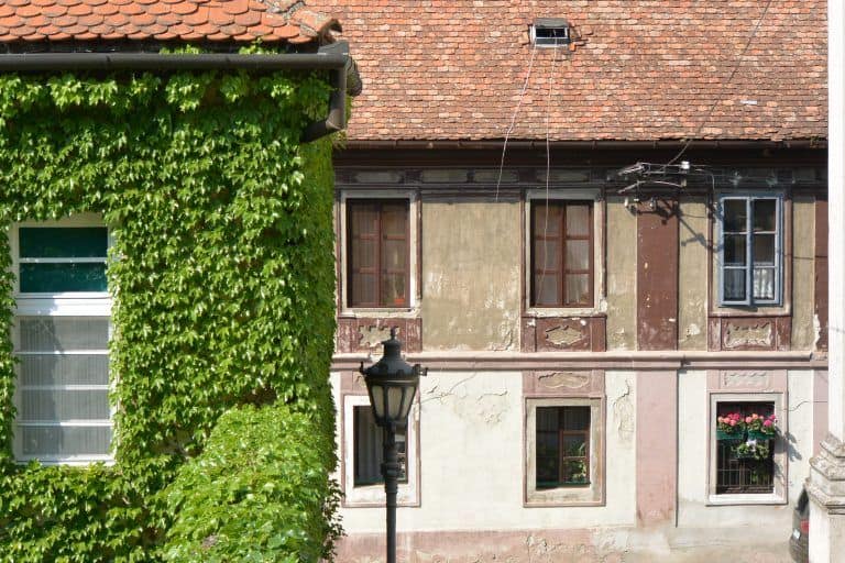 Petrovaradin (13) (Novi Sad)