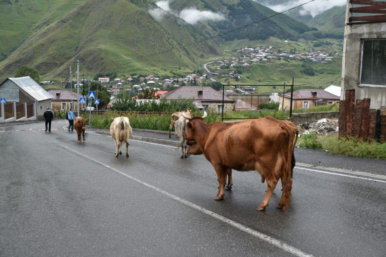 Kazbegi (21) (ステパンツミンダ（カズベギ）)