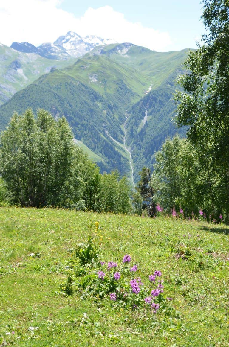 Hatsvali (11) (Svanetia)
