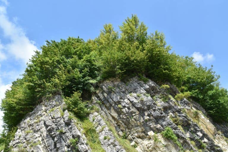Svaneti (26) (スヴァネティ)