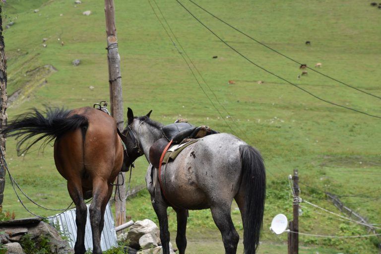 Ushguli (9) (Svanetia)
