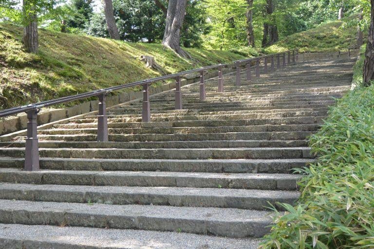Akita (25) (Akita)