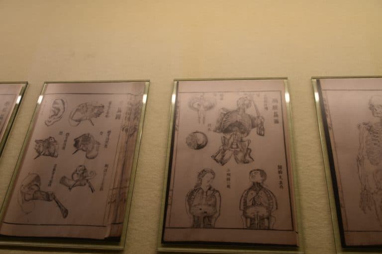 Kakunodate (10) (Akita)