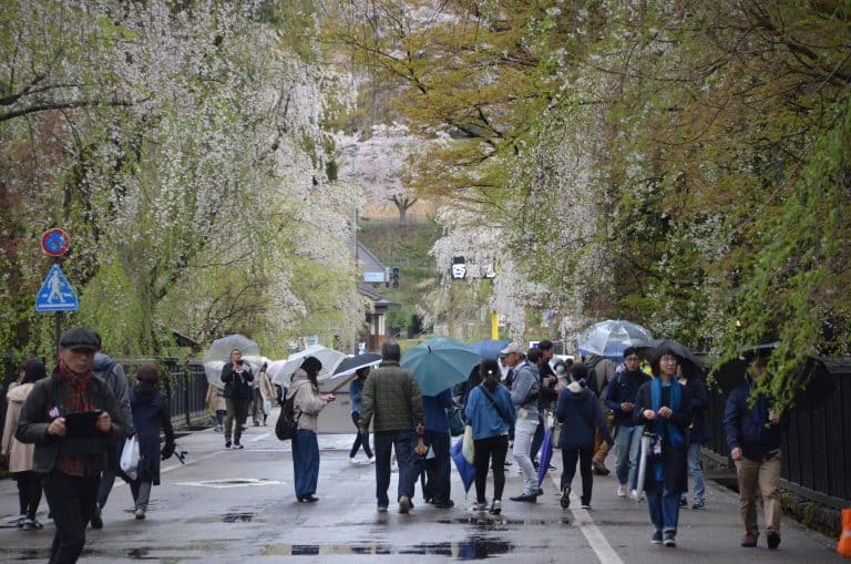 Kakunodate (28) (Akita)