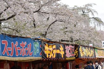 Japan-Akita-Kakunodate-Cherry Blossom Festival-stalls-cherry trees