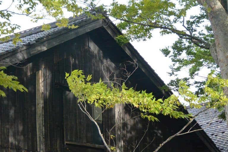Sakata (24) (Yamagata)