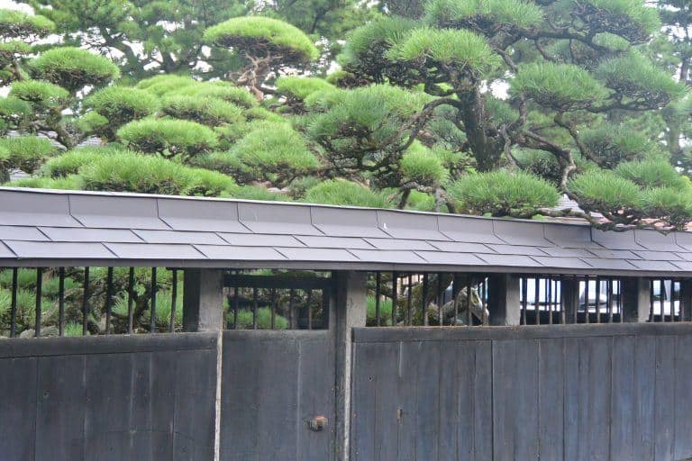 Sakata (27) (Yamagata)