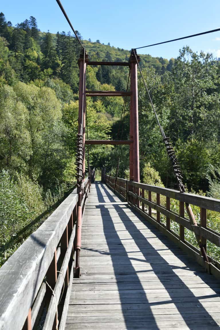 Carpathian Mountains (17) (Carpazi)