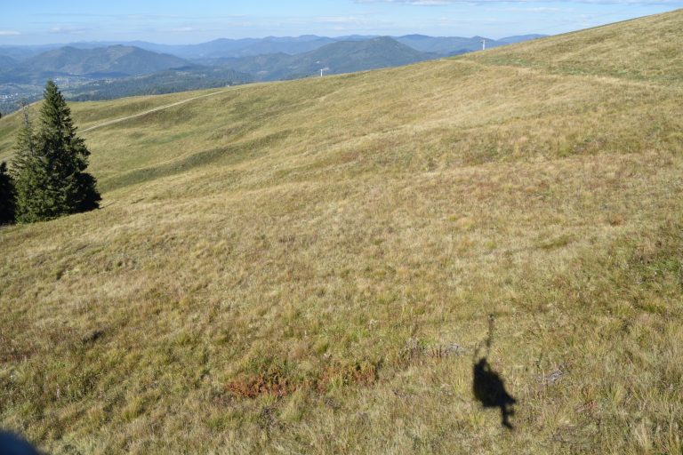 Carpathian Mountains (23) (Carpazi)