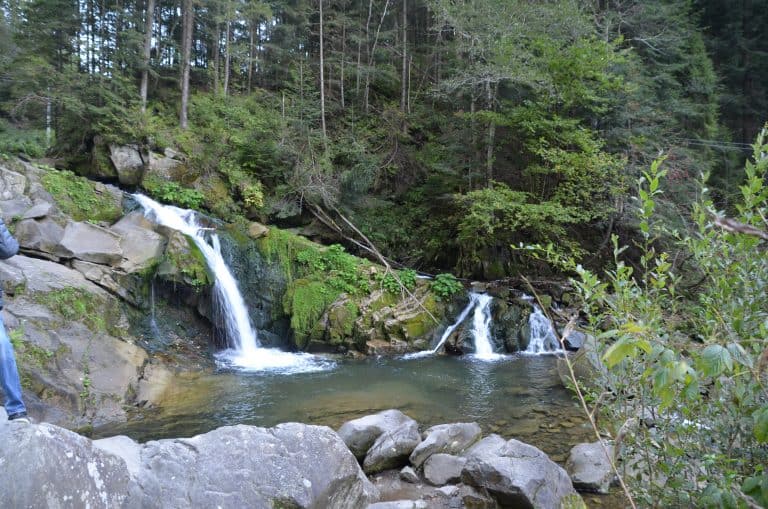 Carpathian Mountains (35) (Carpazi)