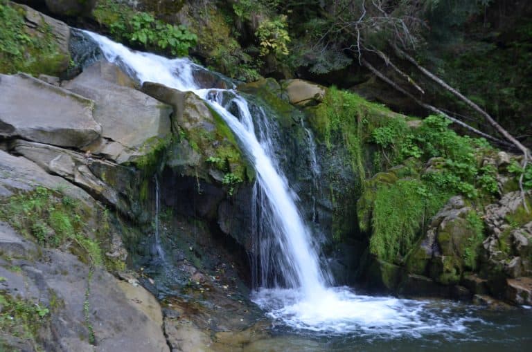 Carpathian Mountains (36) (Montes Cárpatos)