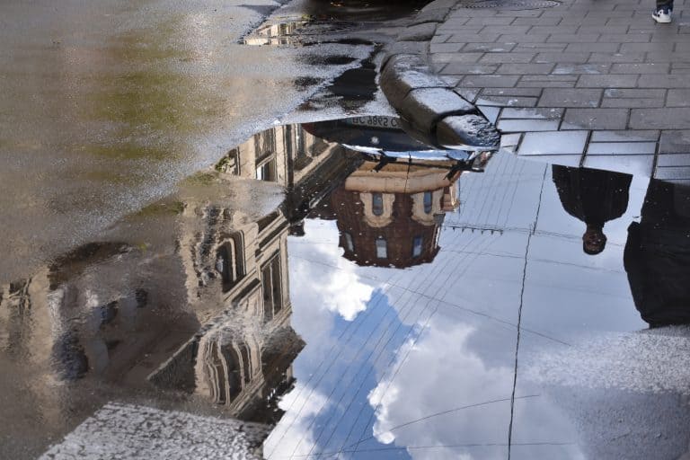 Lviv(146) (リヴィウ)