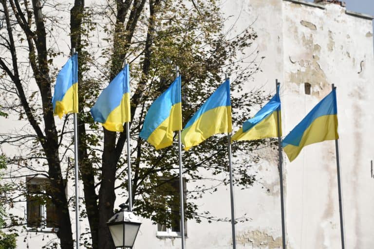Lviv(155) (リヴィウ)