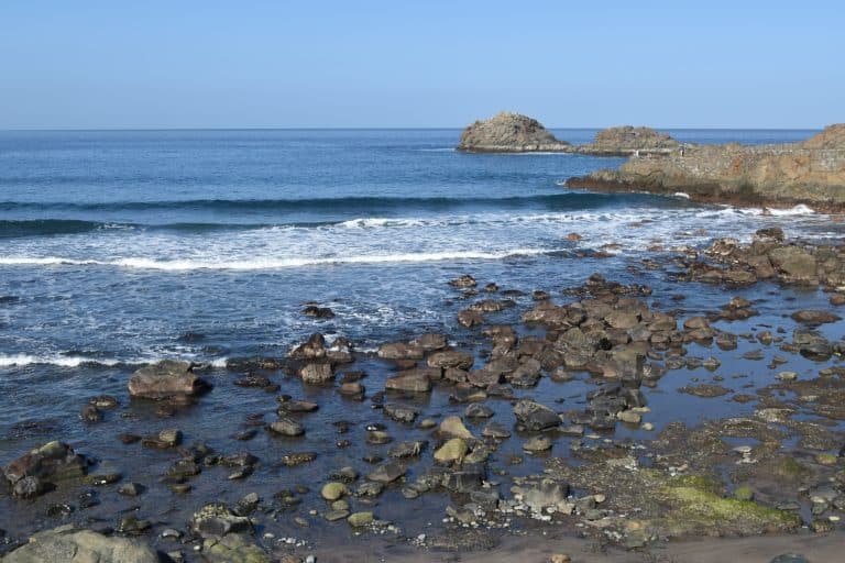 Anaga (19) (Tenerife)