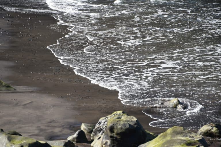 Anaga (20) (Tenerife)