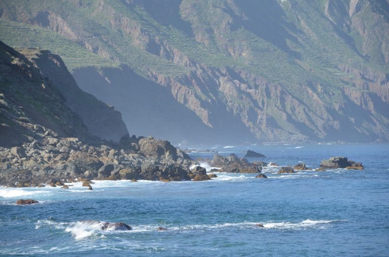 Anaga (22) (Tenerife)