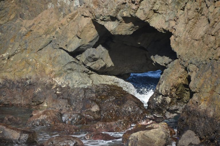 Anaga (24) (Tenerife)
