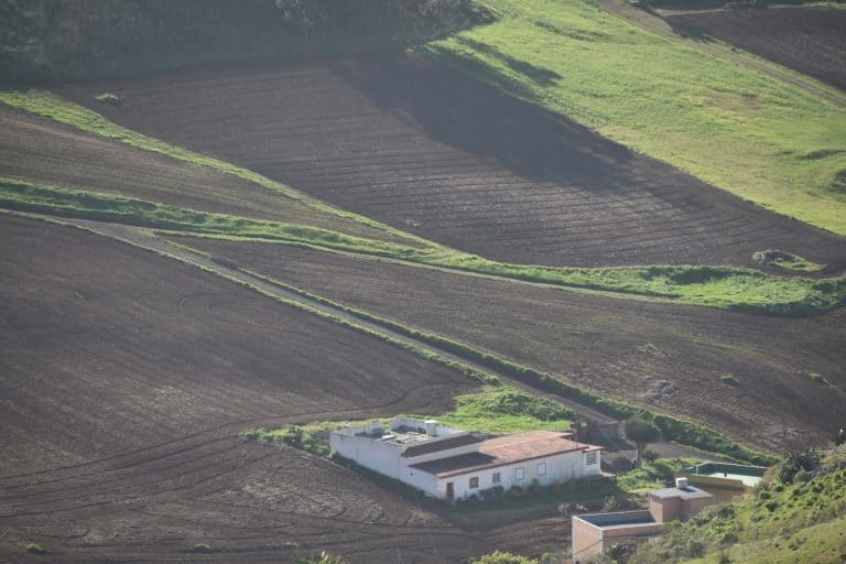 Anaga (3) (Tenerife)