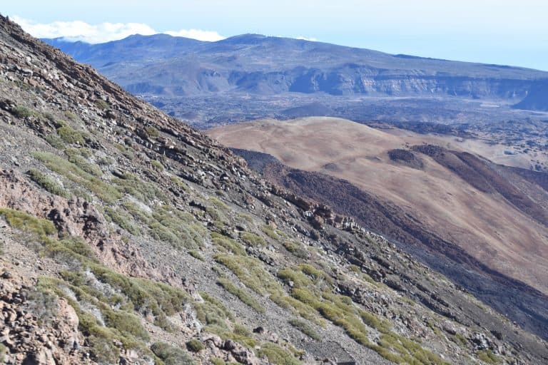 El Teide (12) (Tenerife)