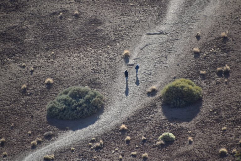El Teide (16) (Tenerife)