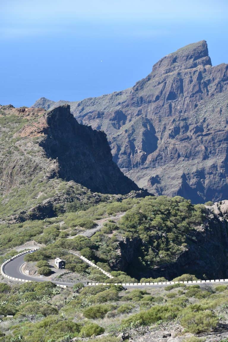 El Teide (18) (Tenerife)