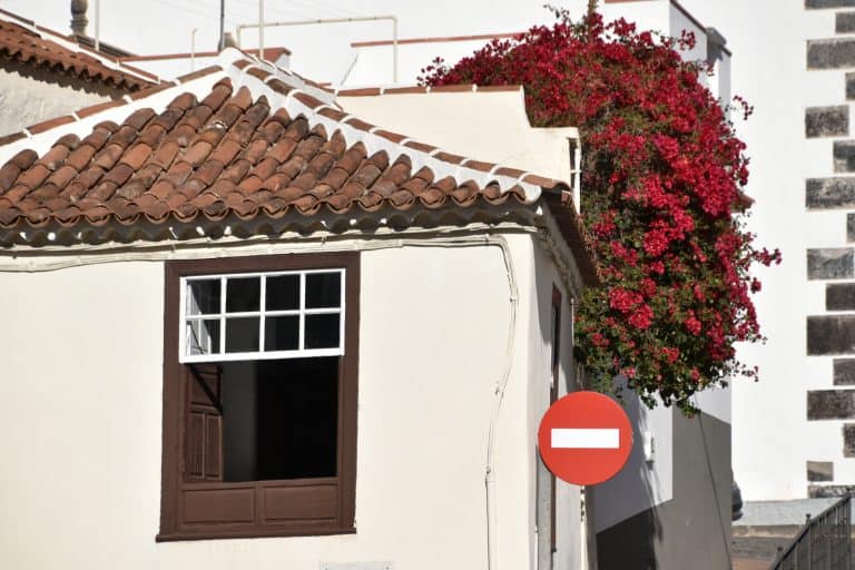 Garachico (18) (Tenerife)
