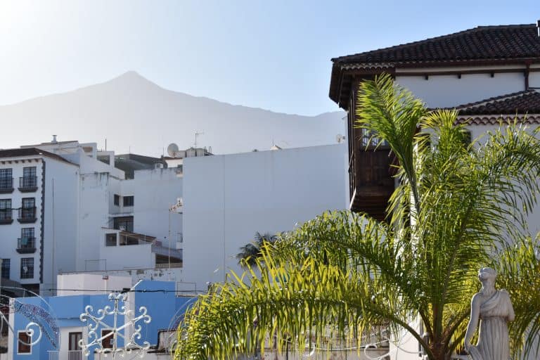 Icod de los Vinos (17) (Tenerife)