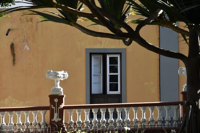 Icod de los Vinos (20) (Tenerife)