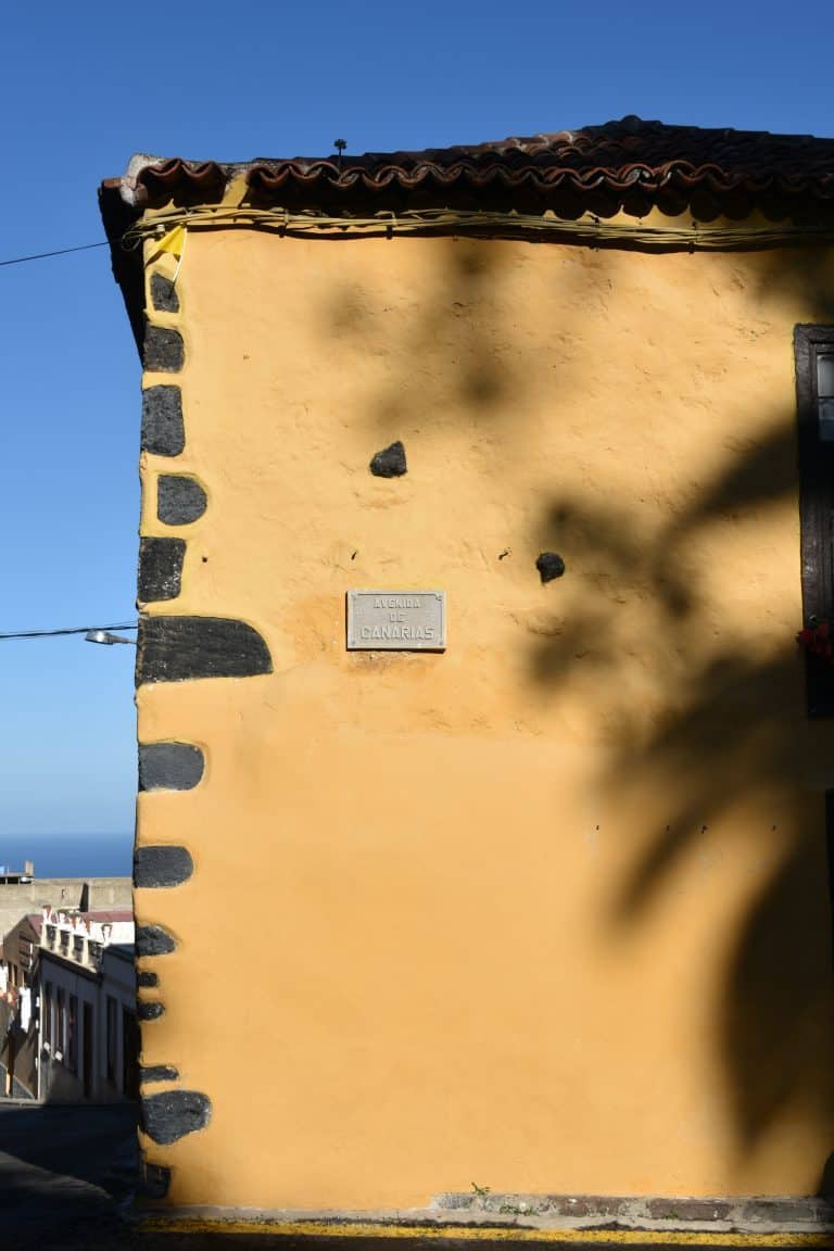 Icod de los Vinos (25) (Tenerife)