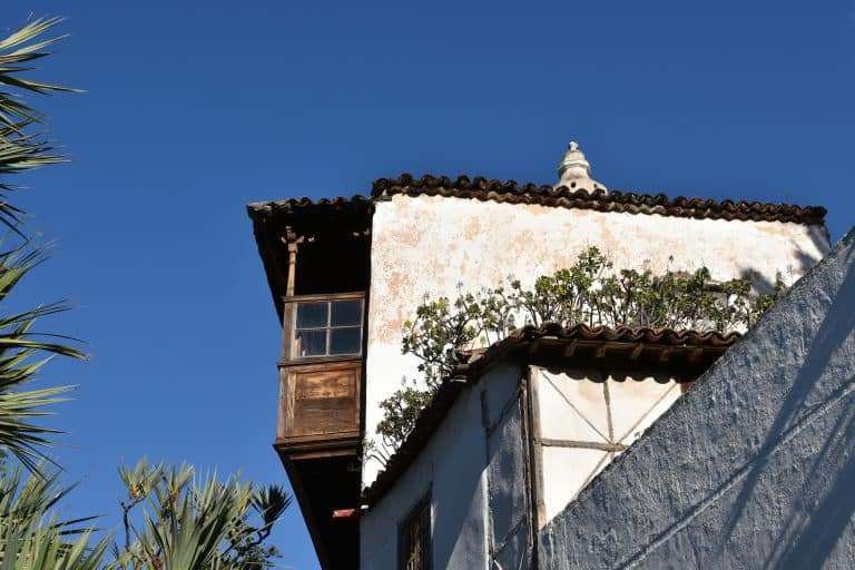 Icod de los Vinos (3) (Tenerife)