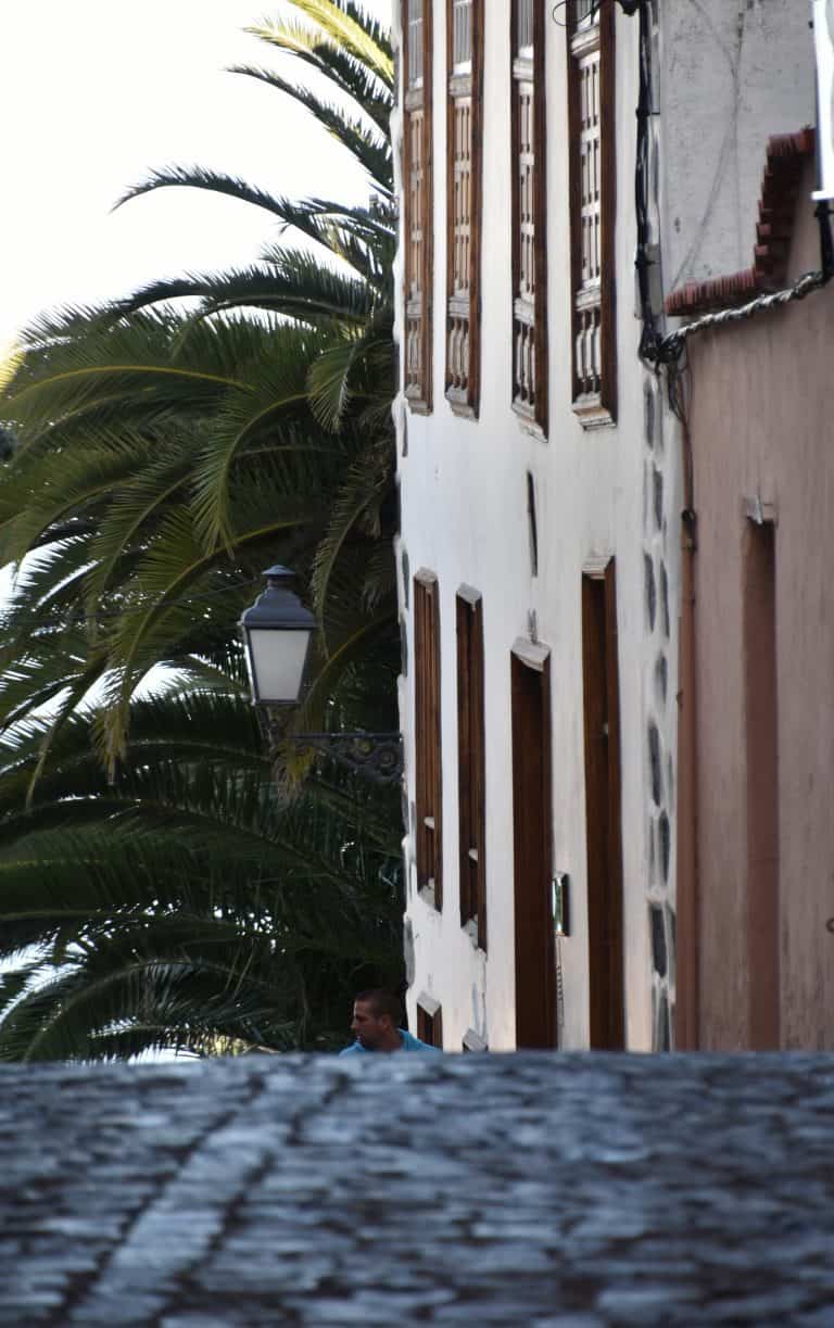 Icod de los Vinos (9) (Tenerife)