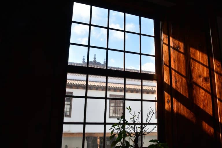 La Laguna (115) (Tenerife)