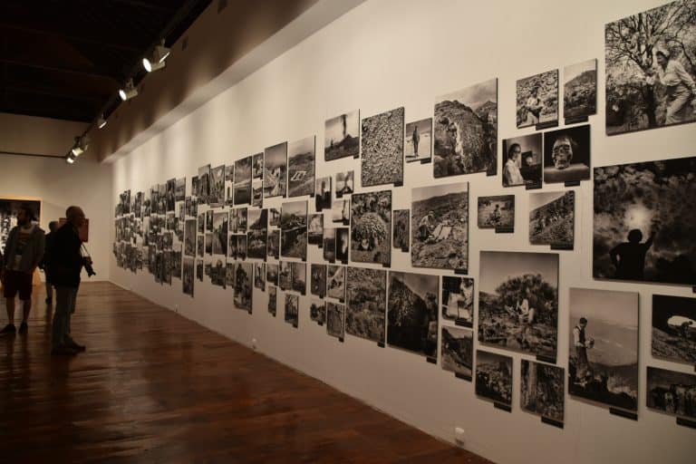 La Laguna (124) (Tenerife)