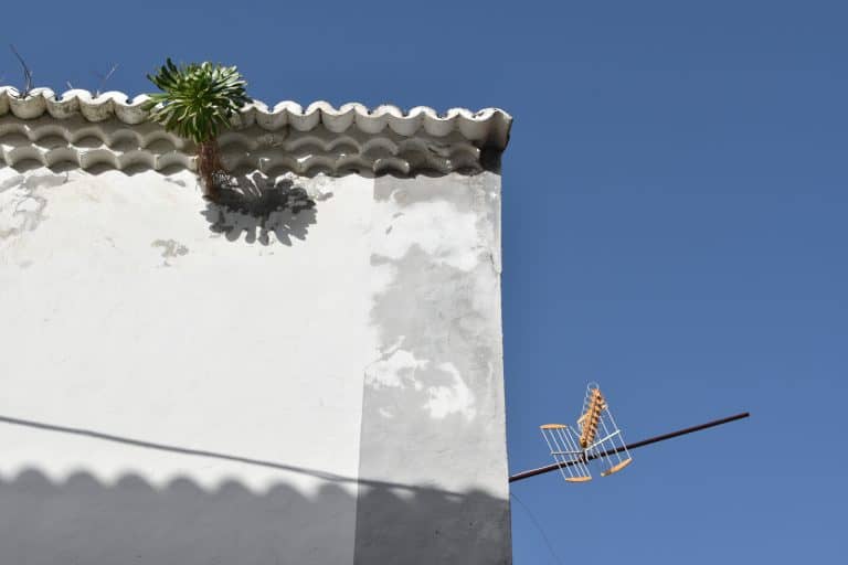 La Laguna (13) (Tenerife)