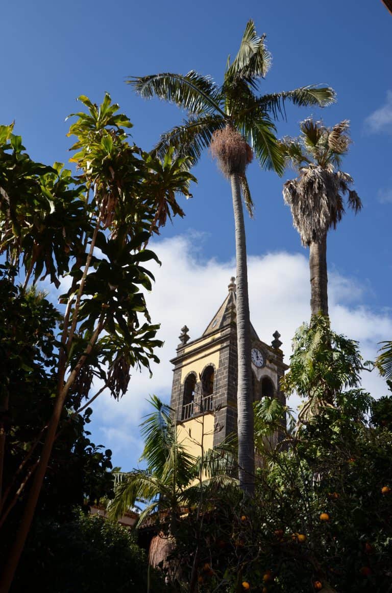 La Laguna (137) (Tenerife)