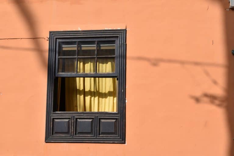 La Laguna (25) (Tenerife)
