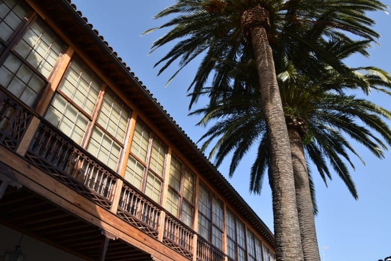 La Laguna (50) (Tenerife)
