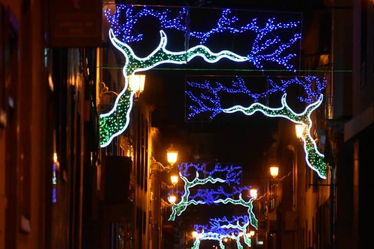 La Laguna (64) (Tenerife)