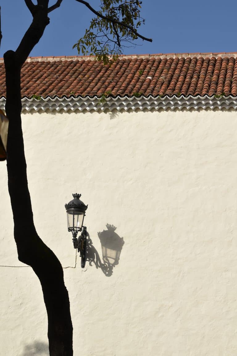 La Laguna (8) (Tenerife)