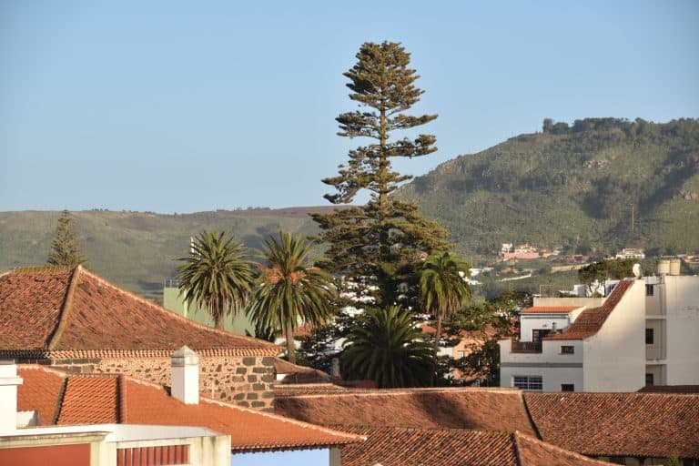 La Laguna (95) (Tenerife)