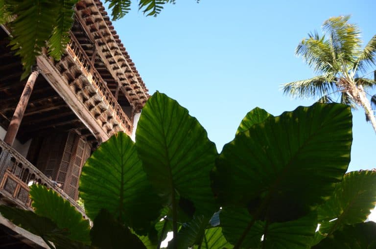 La Orotava (47) (テネリフェ島)