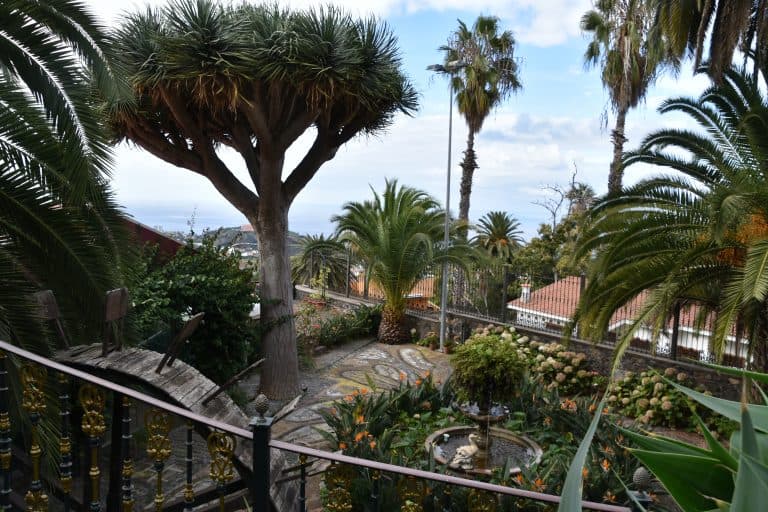 La Orotava (66) (Tenerife)