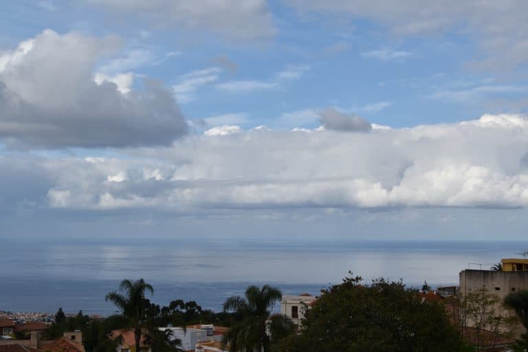 La Orotava (73) (Tenerife)