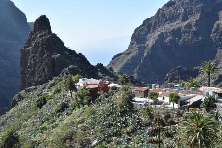 Masca (15) (テネリフェ島)
