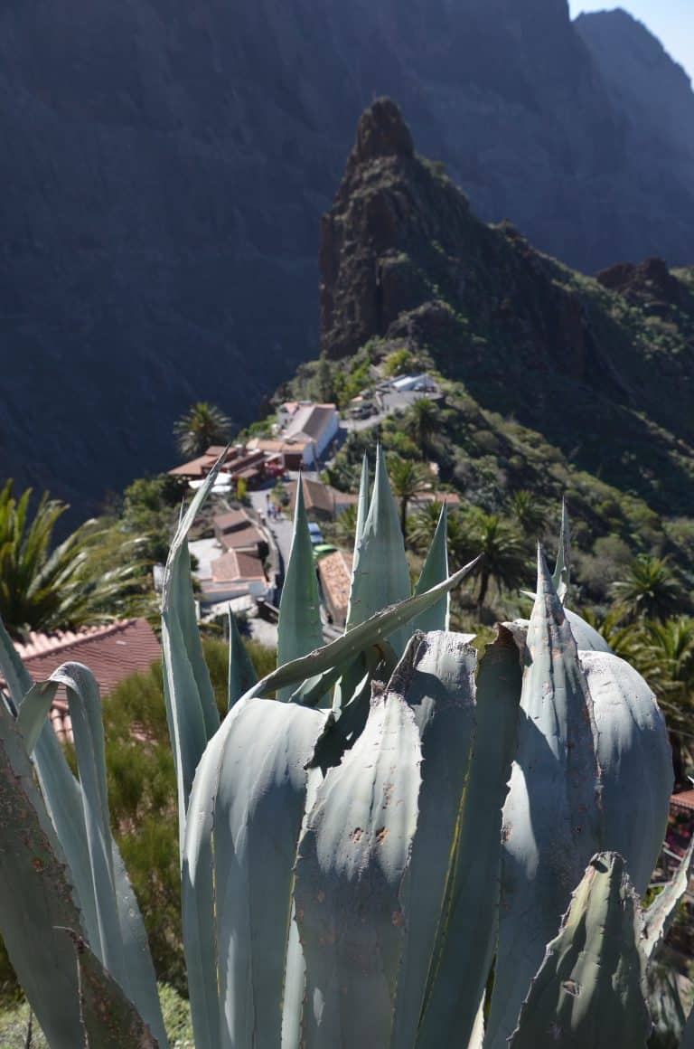 Masca (24) (Tenerife)