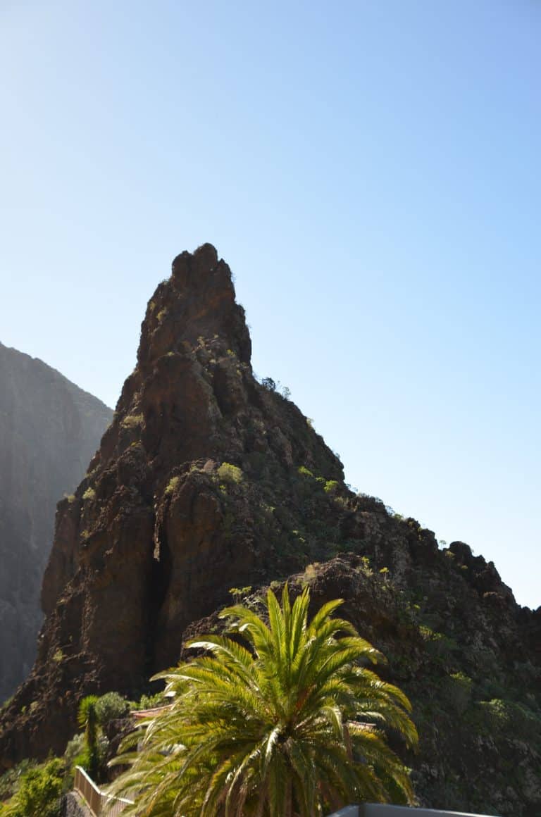 Masca (27) (Tenerife)